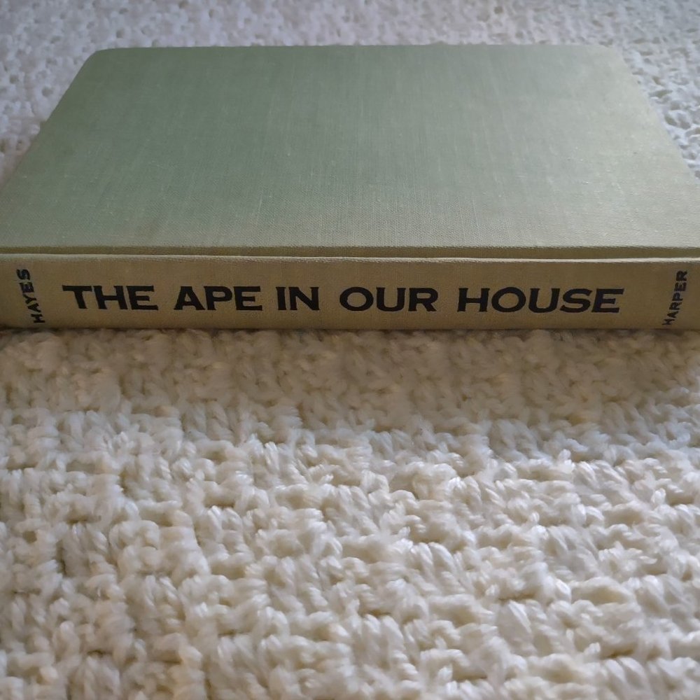 Vintage 1951 Hardcover Book~The Ape in Our House~Animal Intelligence~True Story